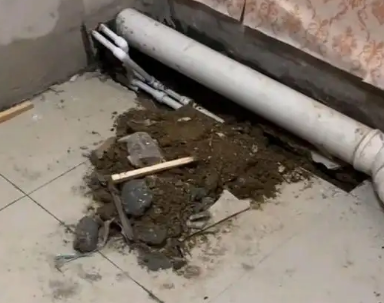鄂城卫生间漏水检测哪家好